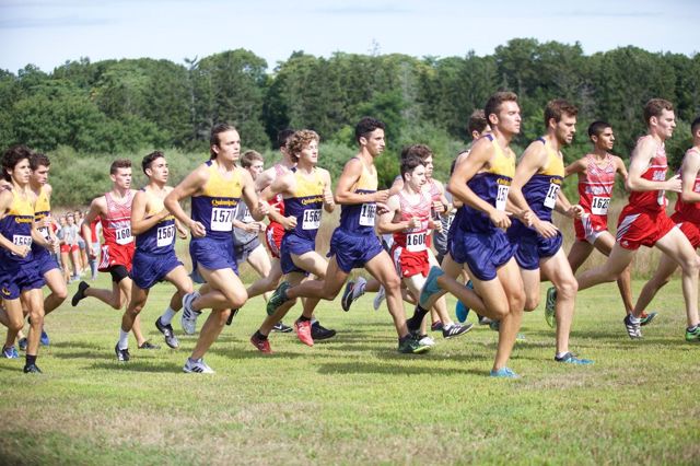Athlete profile featured image number 4 of 4