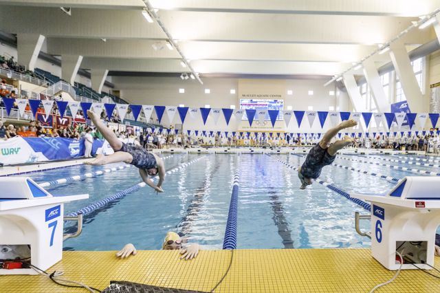 Madison Luther, Distance Freestyle, Louisville Cardinals - NIL Profile ...