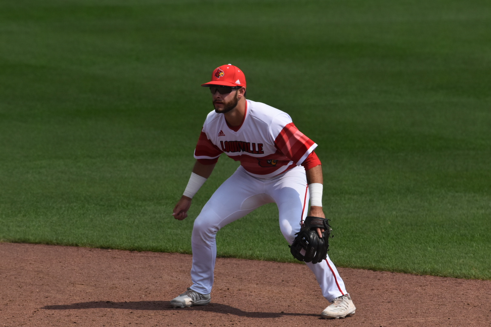 Logan Beard, Second base, Third base, Louisville Cardinals - NIL Profile -  Opendorse