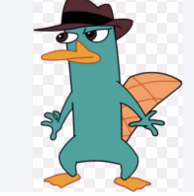 Athlete profile featured image number 4 of 4