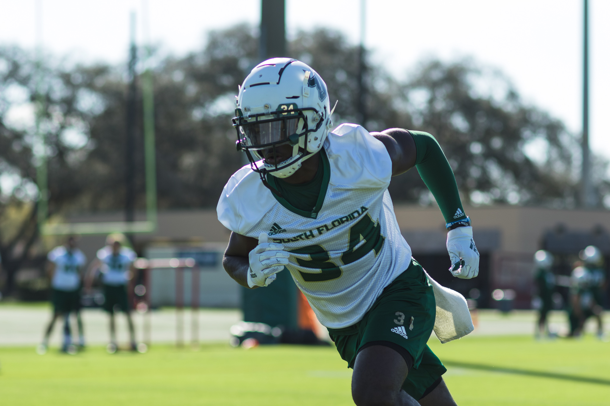 Joshua Green, Defensive Back, USF Bulls, Pikeville Bears - NIL Profile -  Opendorse