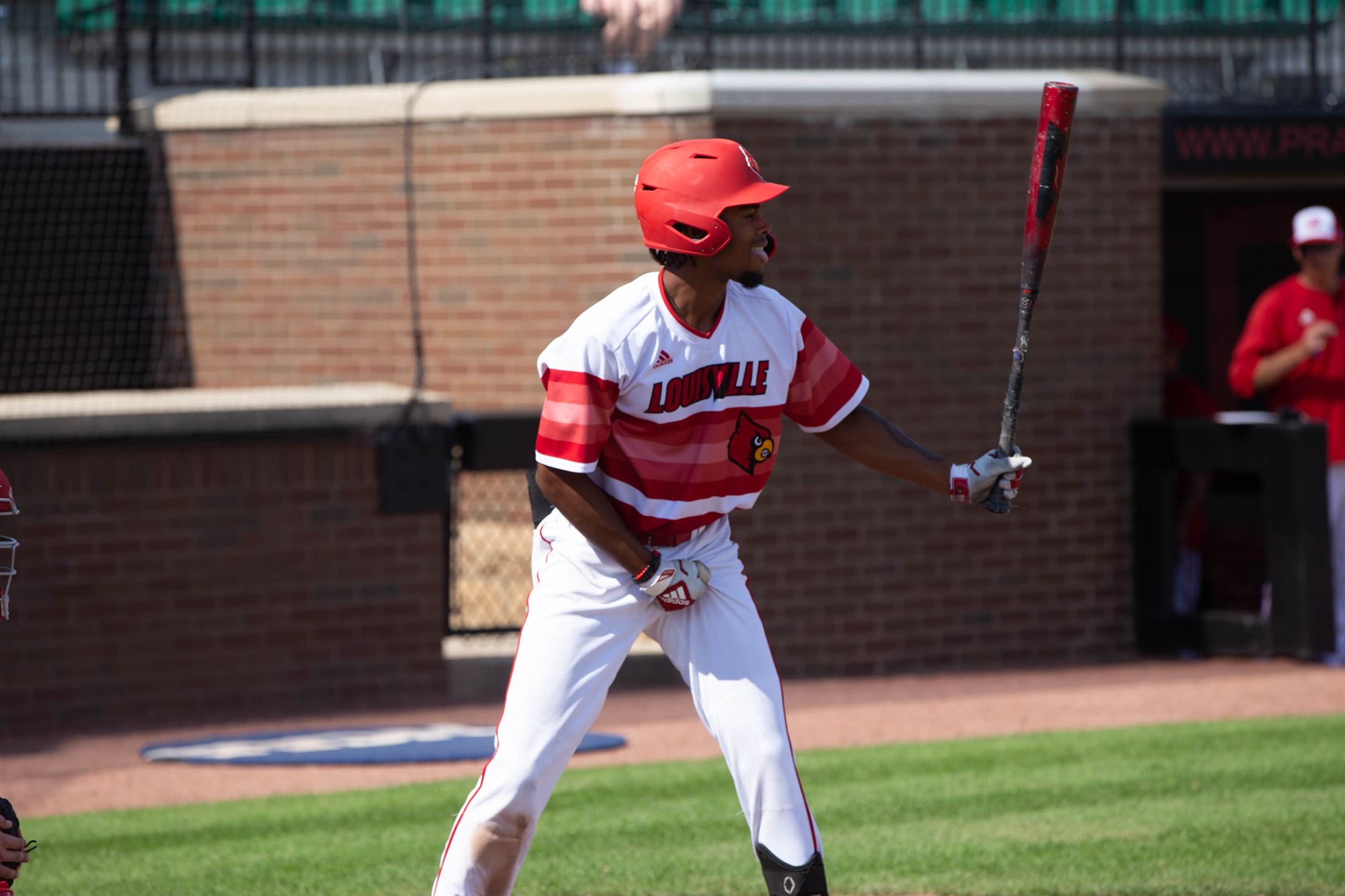 University of Louisville baseball team