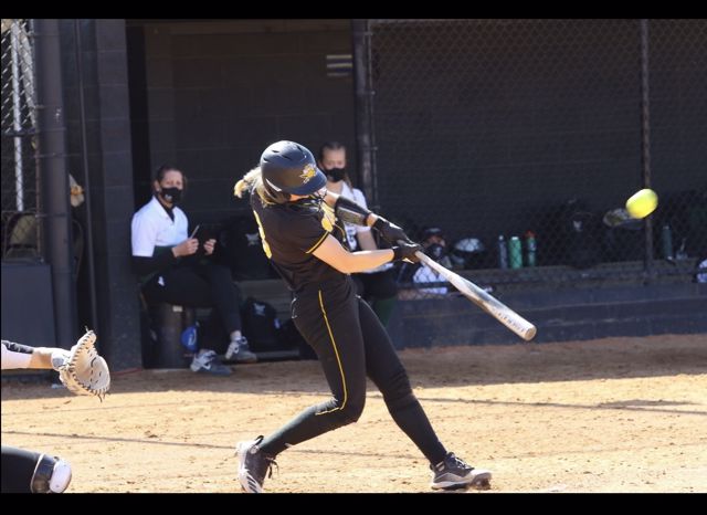 Athlete profile featured image number 4 of 5