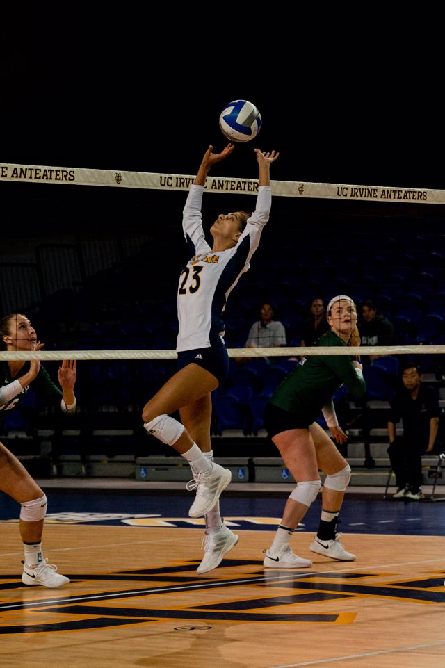 Athlete profile featured image number 3 of 5