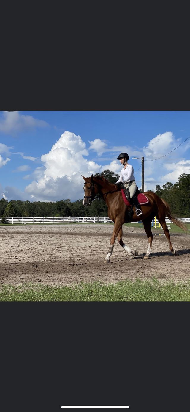 Athlete profile featured image number 3 of 4