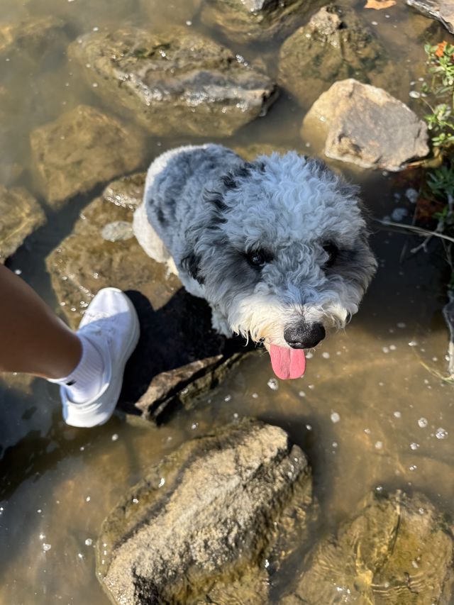 Athlete profile featured image number 8 of 8