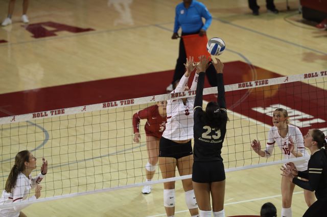 Athlete profile featured image number 2 of 5