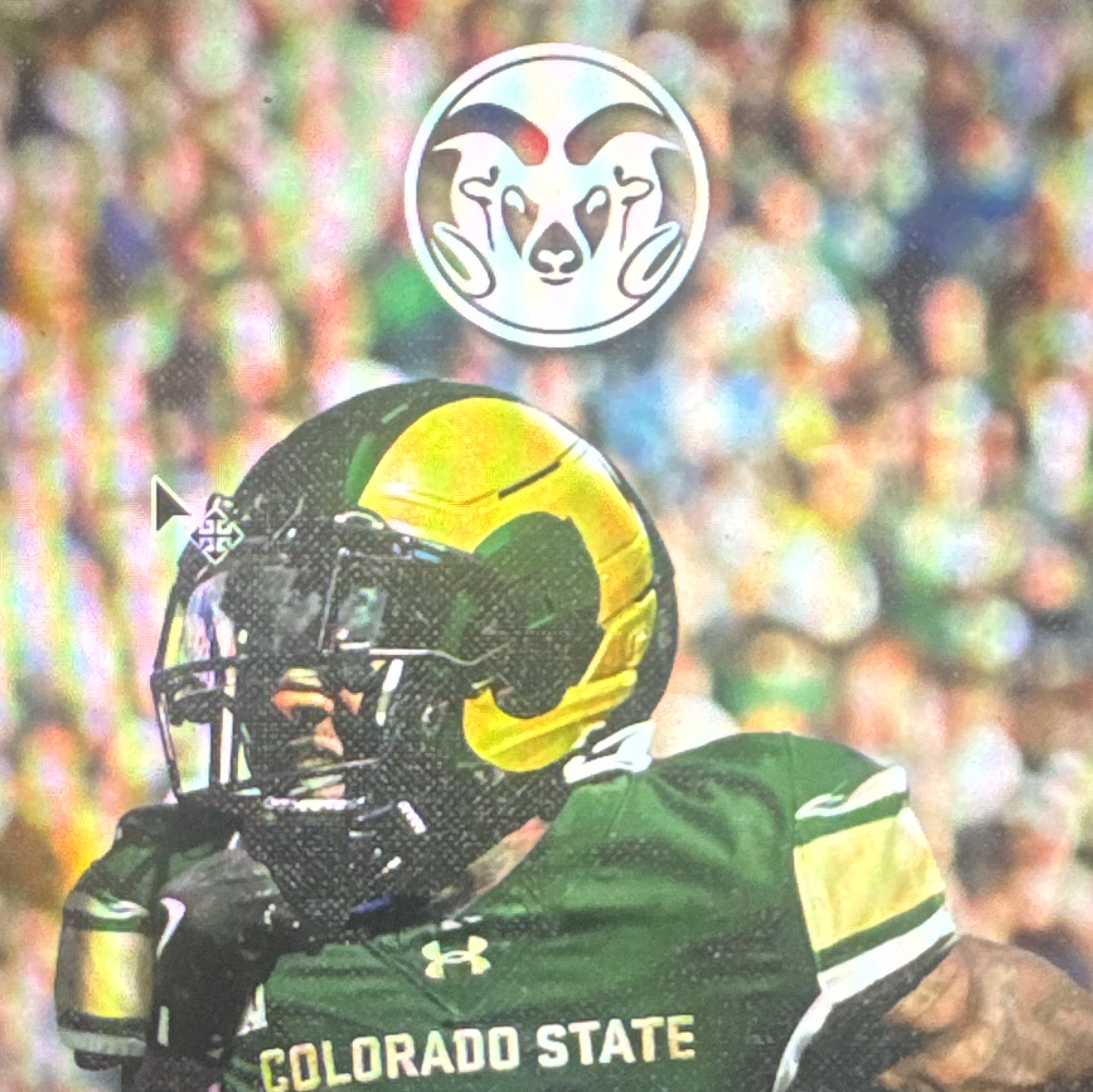 jayden brown athlete profile head shot