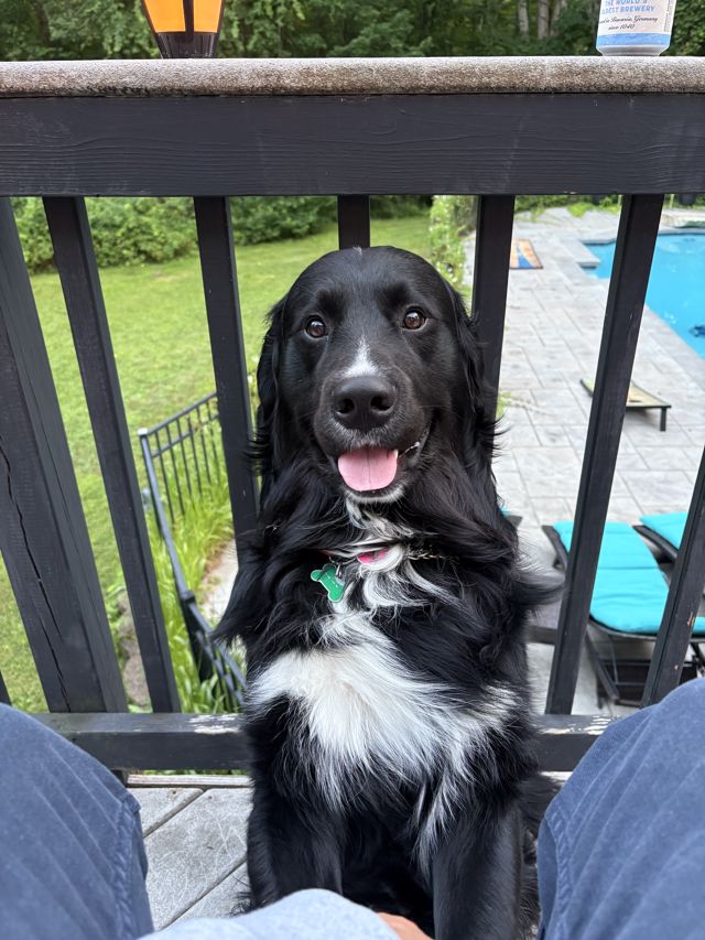 Athlete profile featured image number 10 of 10