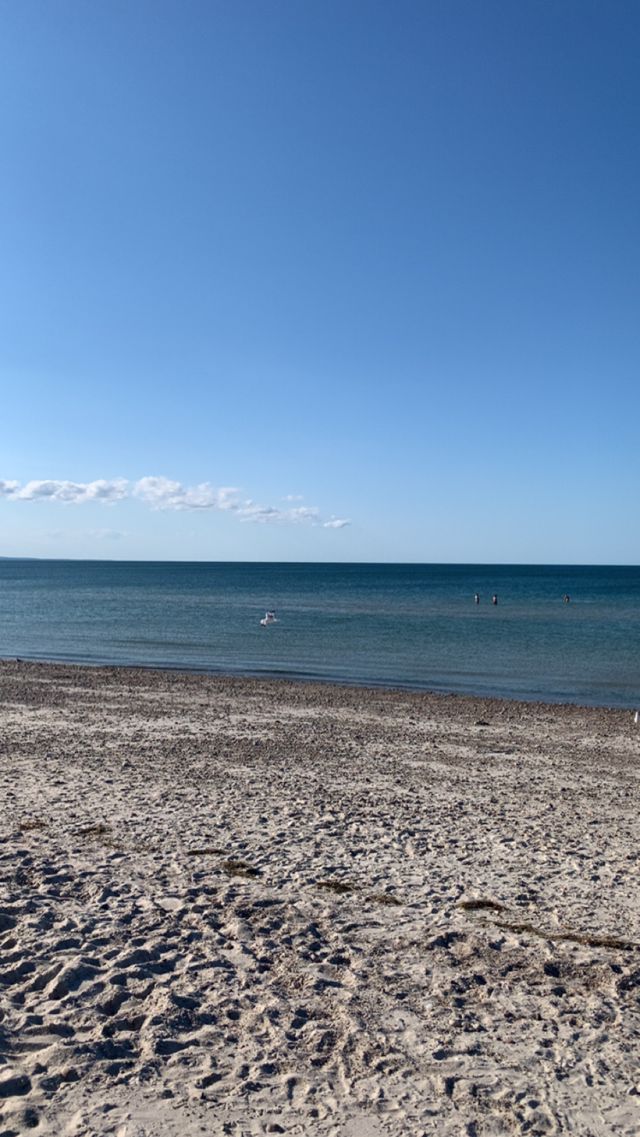 Athlete profile featured image number 3 of 4