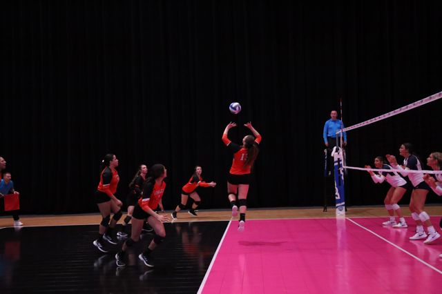 Athlete profile featured image number 2 of 5
