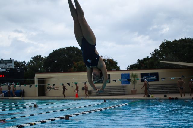 Athlete profile featured image number 1 of 7