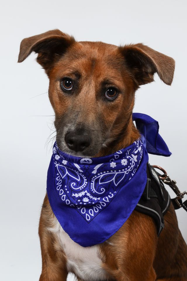 Athlete profile featured image number 3 of 5