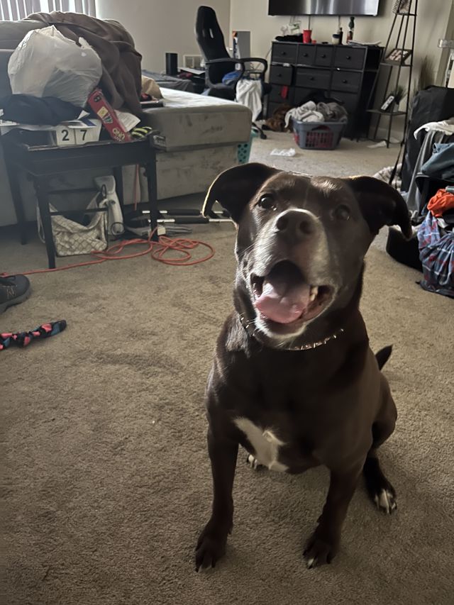 Athlete profile featured image number 5 of 5