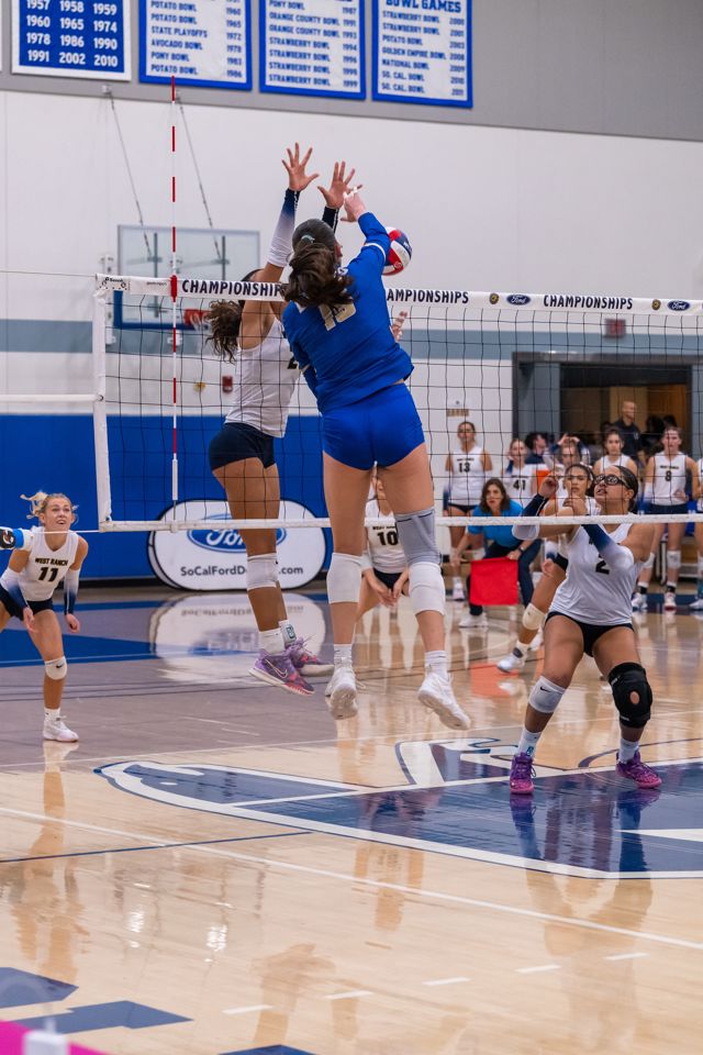 Athlete profile featured image number 8 of 8