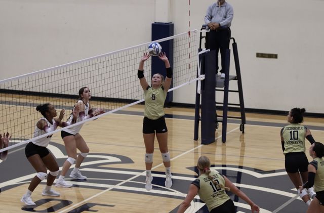 Athlete profile featured image number 4 of 4