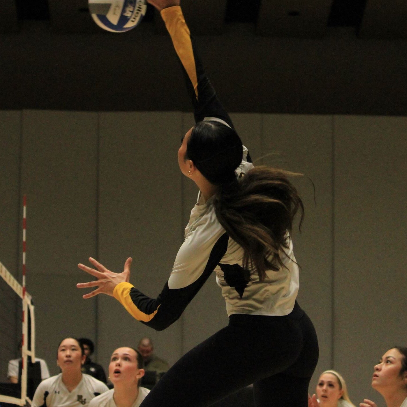 Jetaime Paio athlete profile head shot