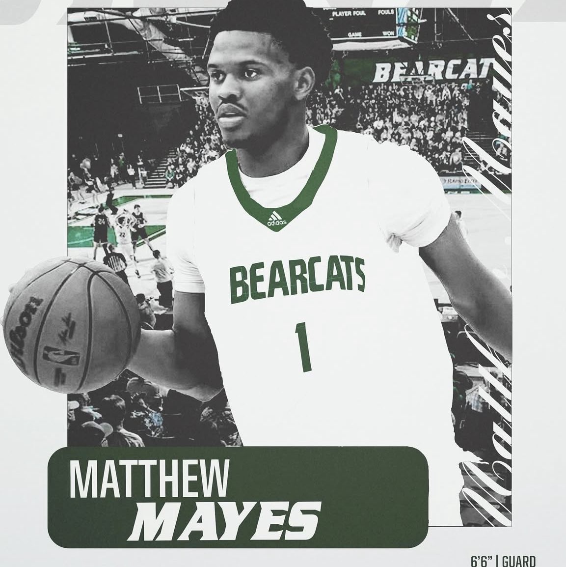 Matthew Mayes athlete profile head shot