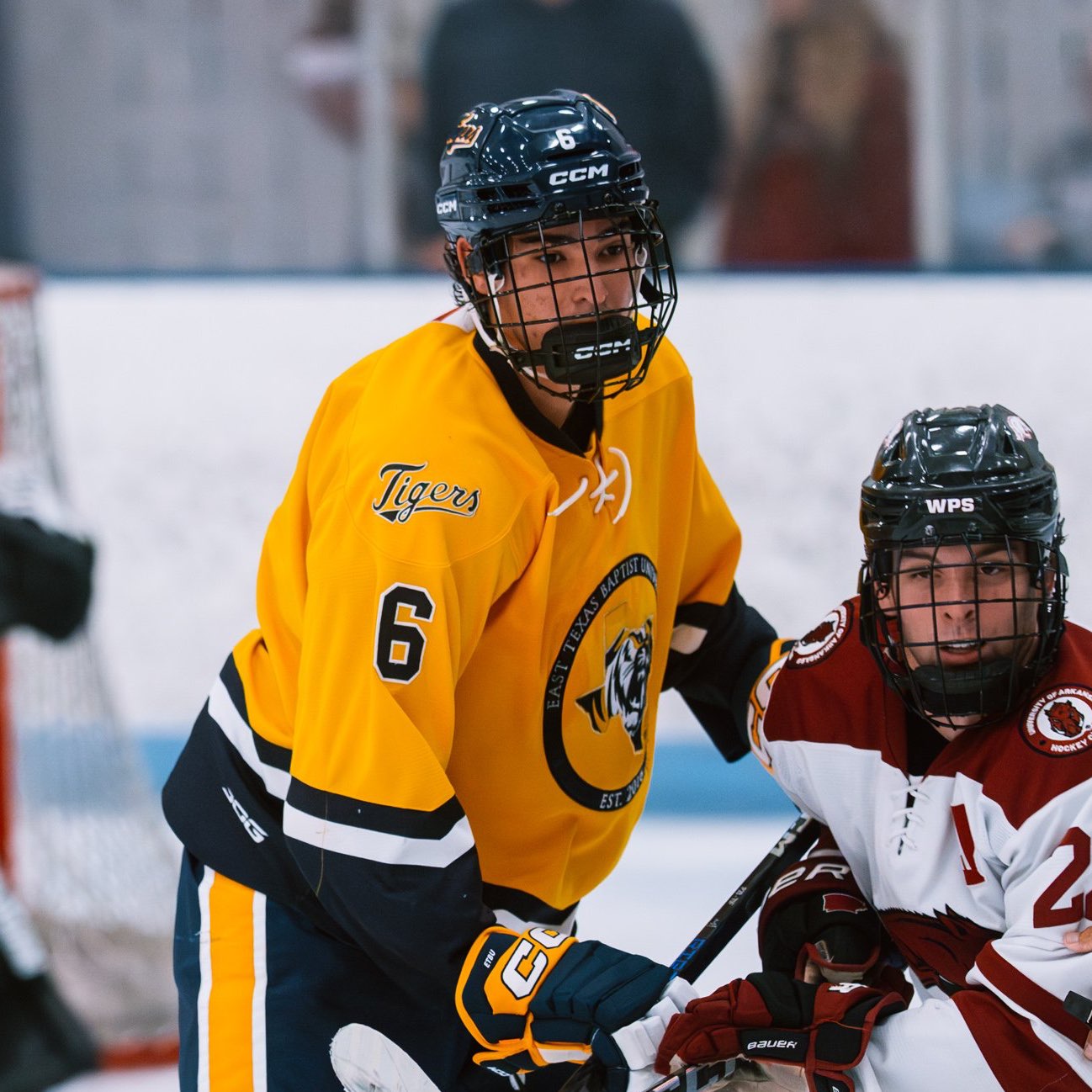 Alex Zacharko athlete profile head shot