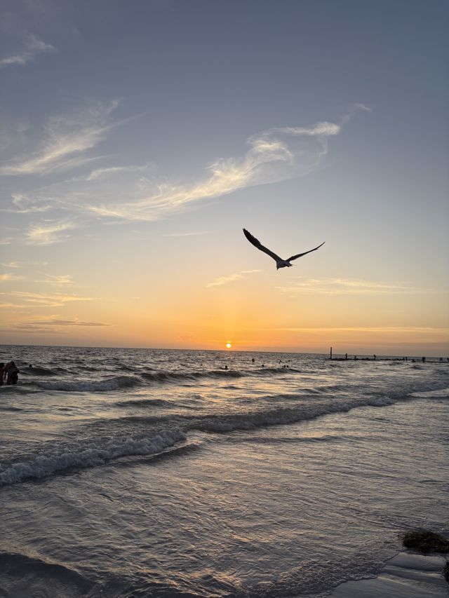 Athlete profile featured image number 4 of 4