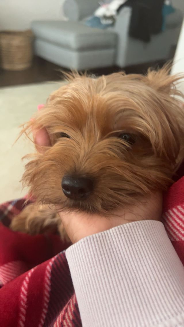 Athlete profile featured image number 5 of 5