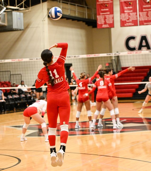 Athlete profile featured image number 3 of 7