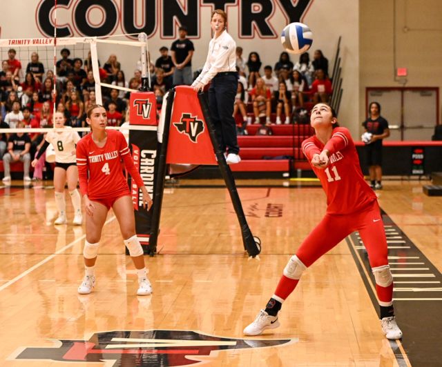 Athlete profile featured image number 2 of 7