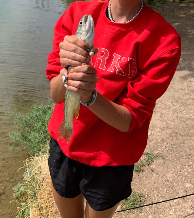 Athlete profile featured image number 9 of 10