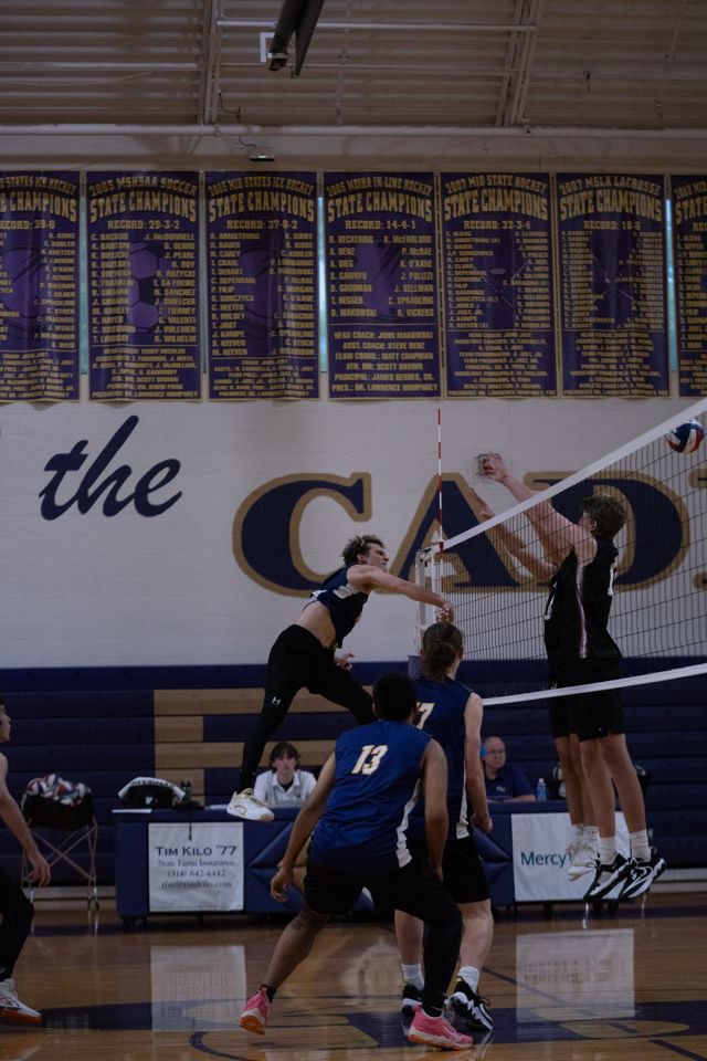 Athlete profile featured image number 6 of 8
