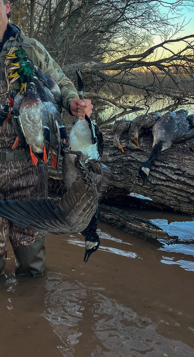 Gage Ellison athlete profile head shot