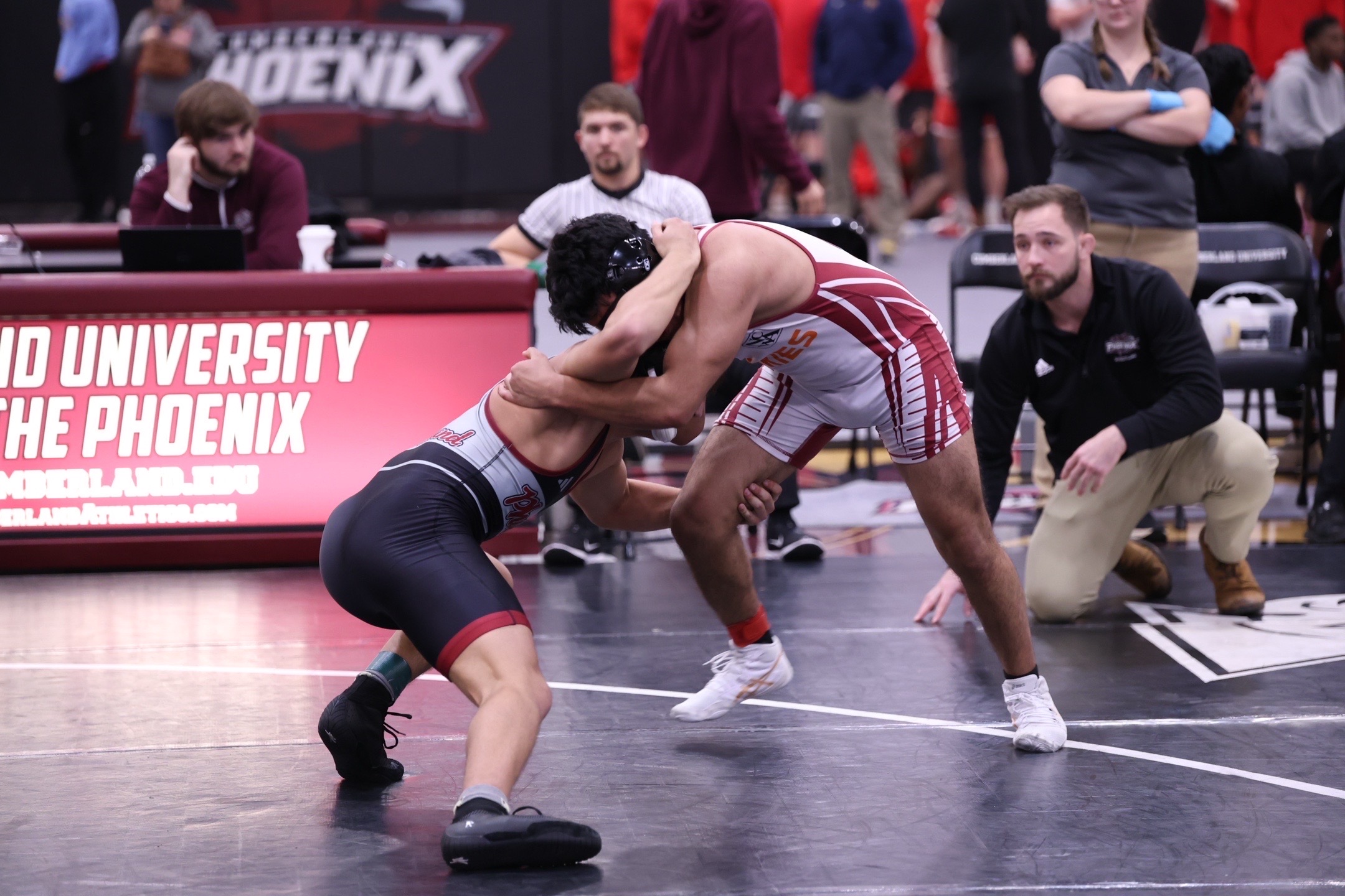 Logan Saller athlete profile head shot