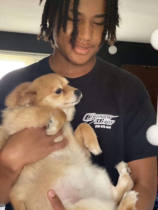 Athlete profile featured image number 6 of 6