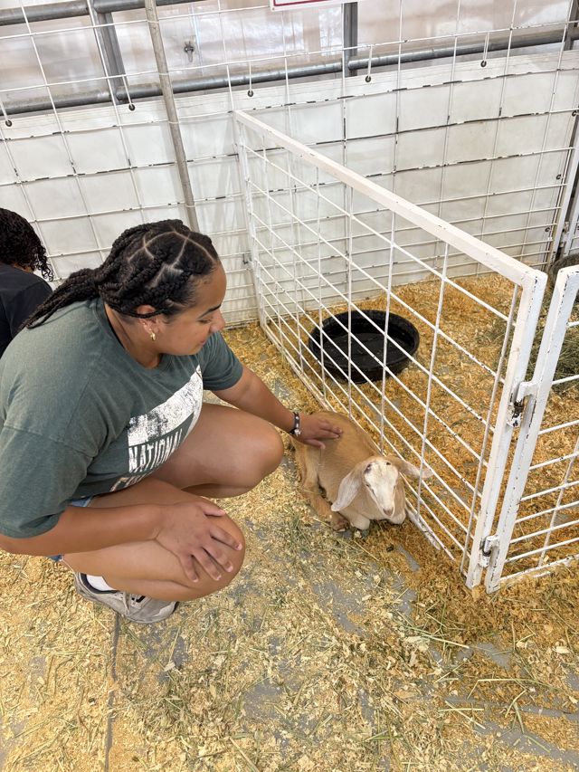 Athlete profile featured image number 4 of 10