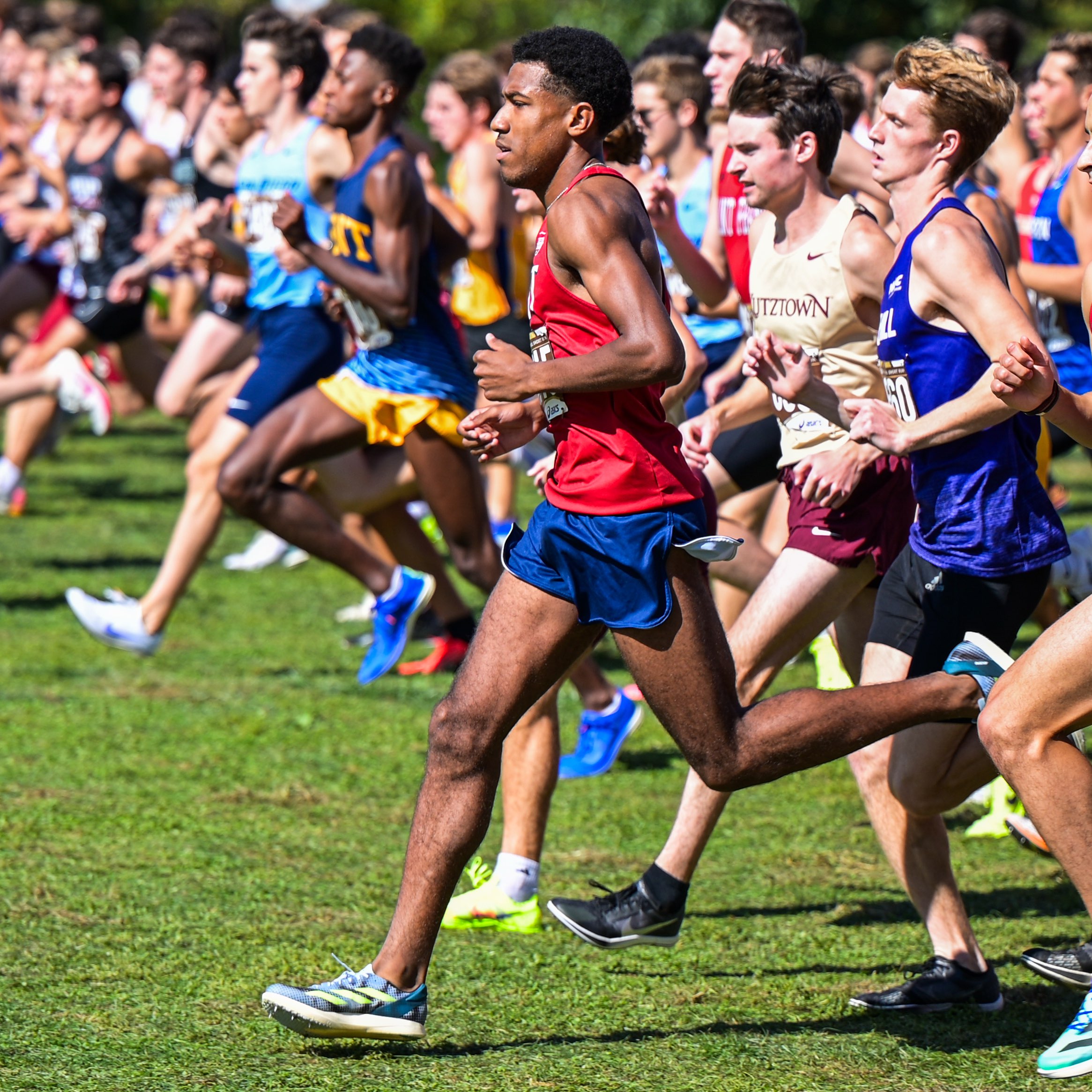 Daniel Wilson athlete profile head shot