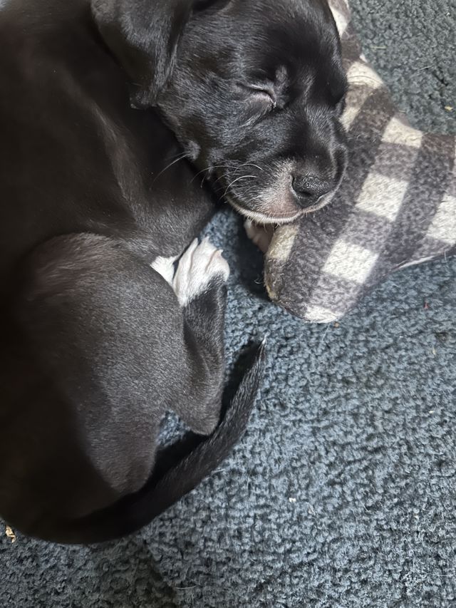 Athlete profile featured image number 4 of 5