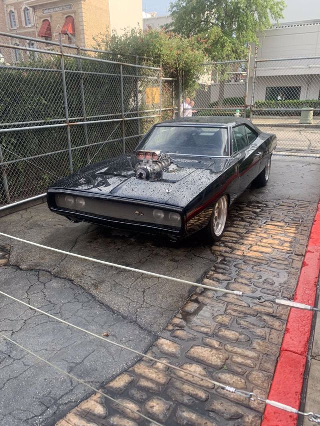 Athlete profile featured image number 7 of 10