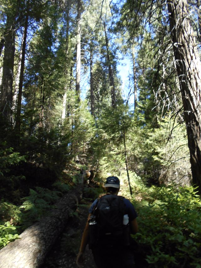 Athlete profile featured image number 1 of 4