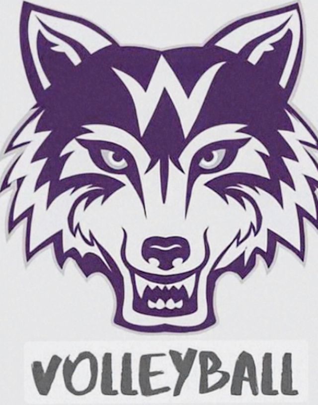 Athlete profile featured image number 2 of 4