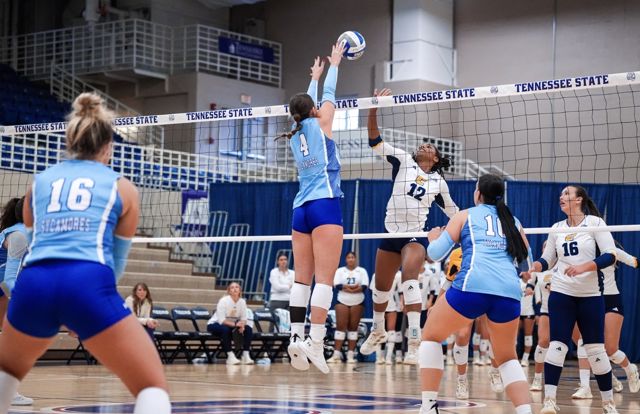 Athlete profile featured image number 4 of 5