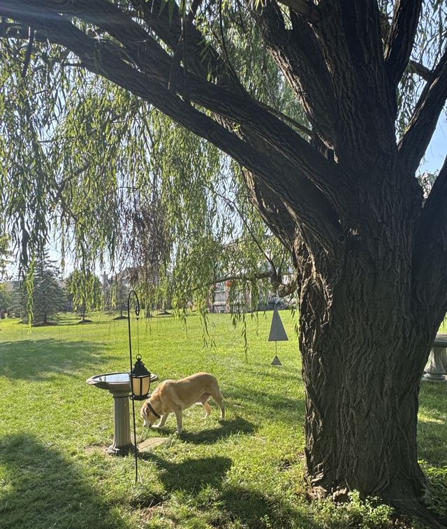 Athlete profile featured image number 5 of 10