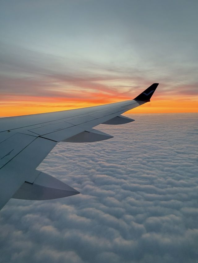 Athlete profile featured image number 9 of 10