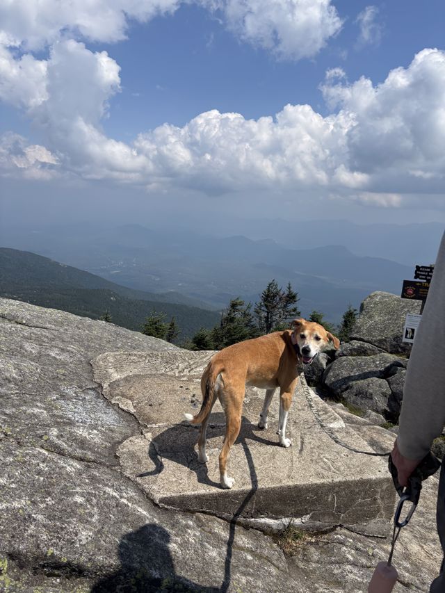 Athlete profile featured image number 6 of 8