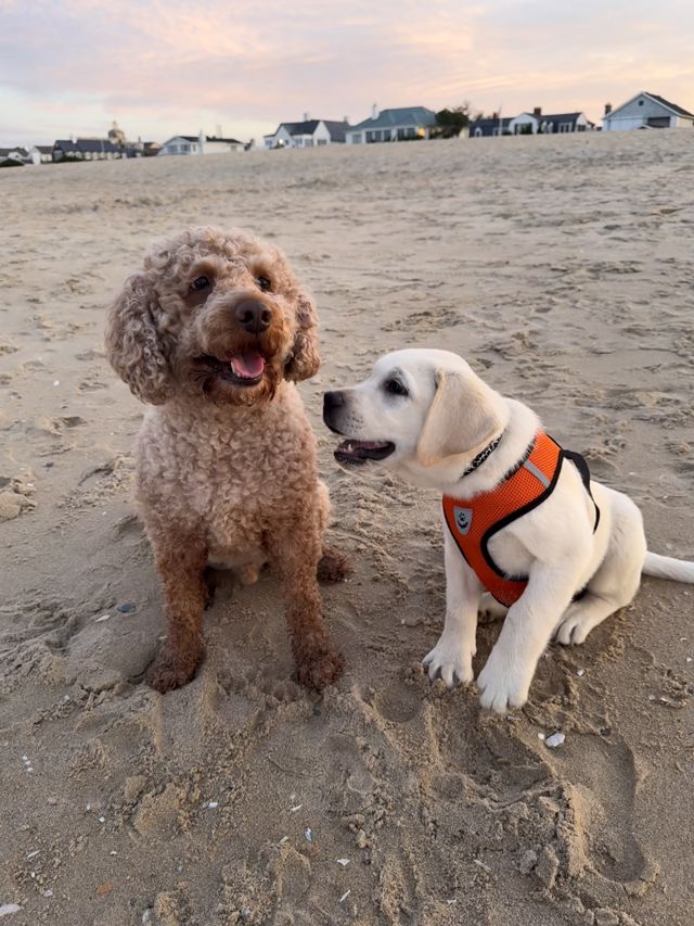 Athlete profile featured image number 3 of 5