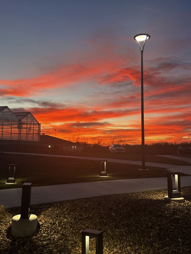 Athlete profile featured image number 7 of 10