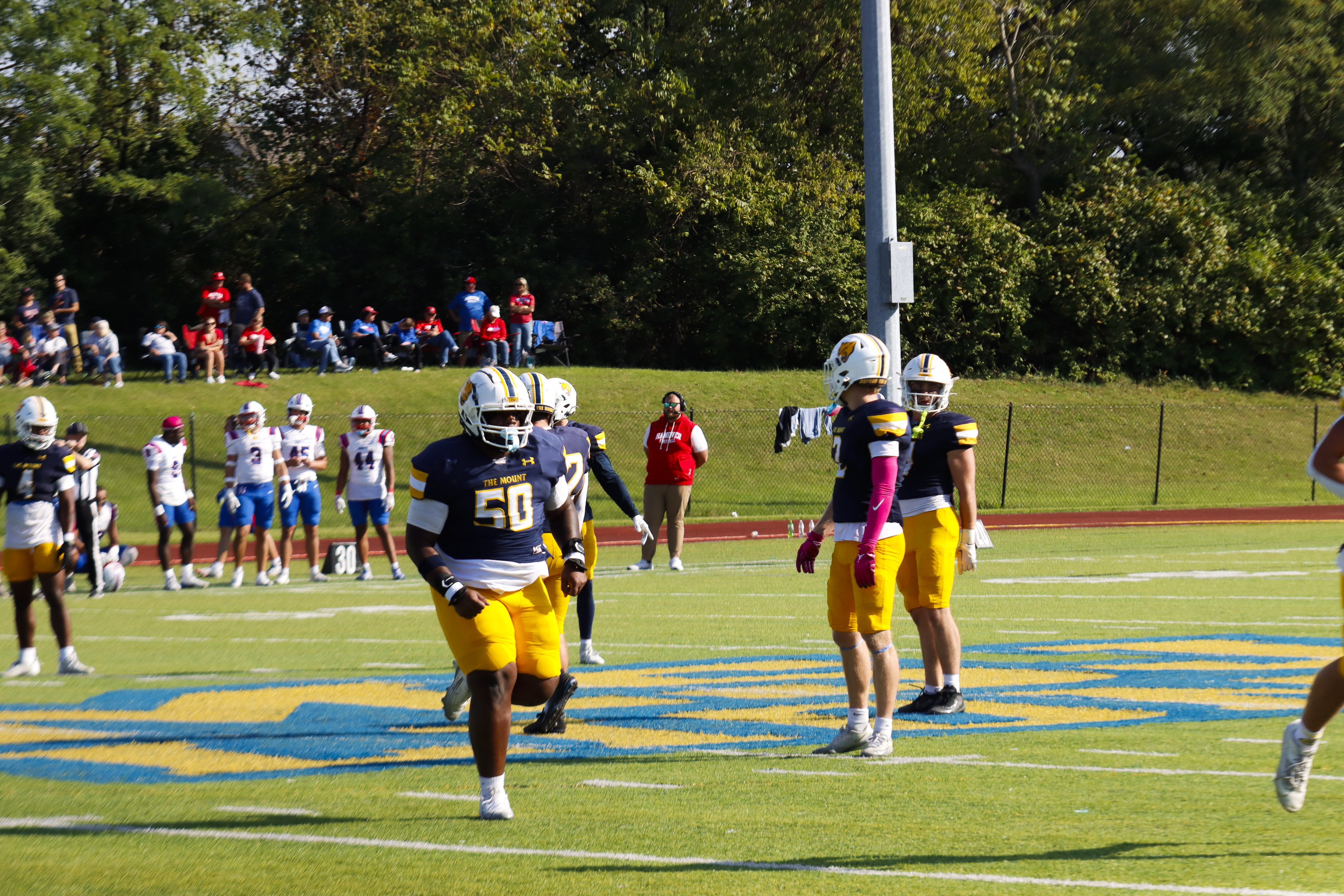 Ailjah Walker athlete profile head shot