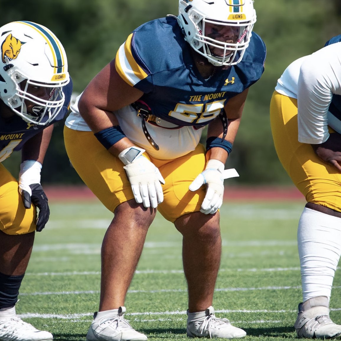 Josh Shipp athlete profile head shot