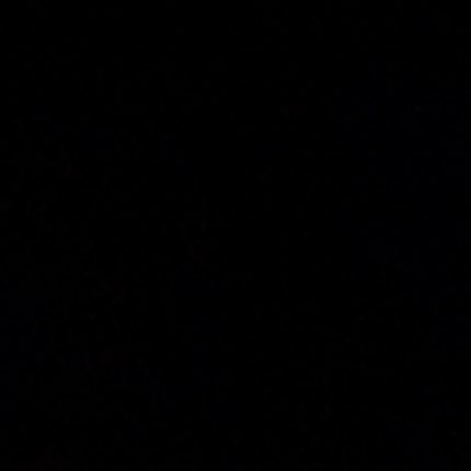 Ace Robinson athlete profile head shot