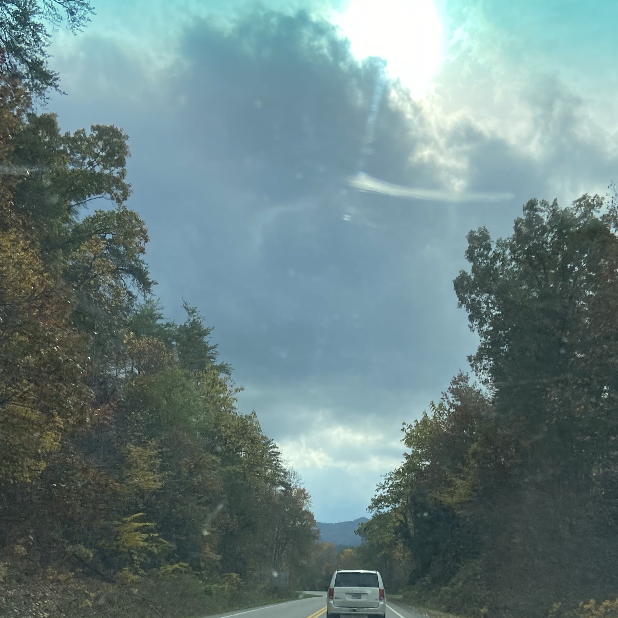 Finn Donnelly athlete profile head shot