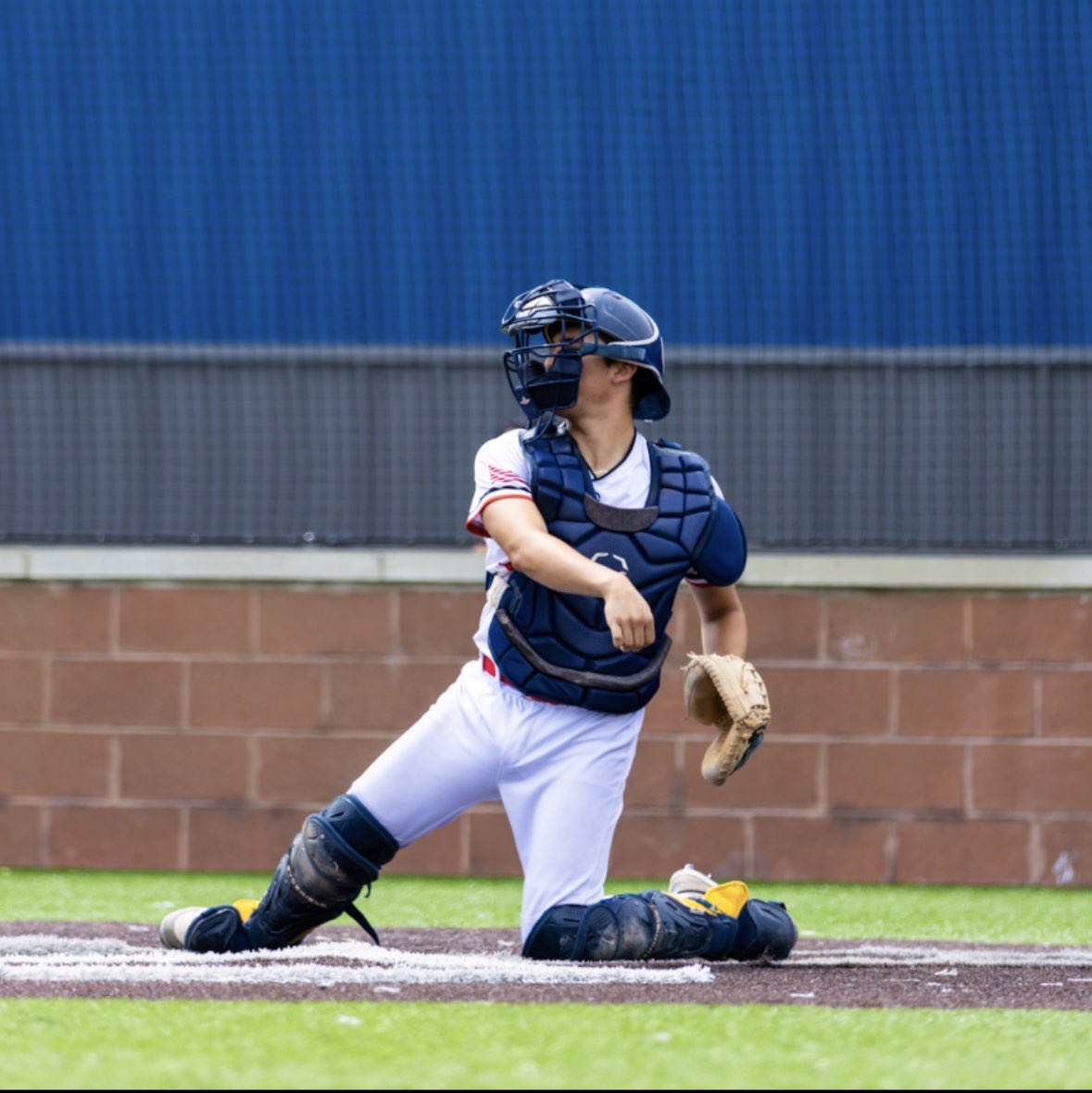 Enzo Bellomo athlete profile head shot