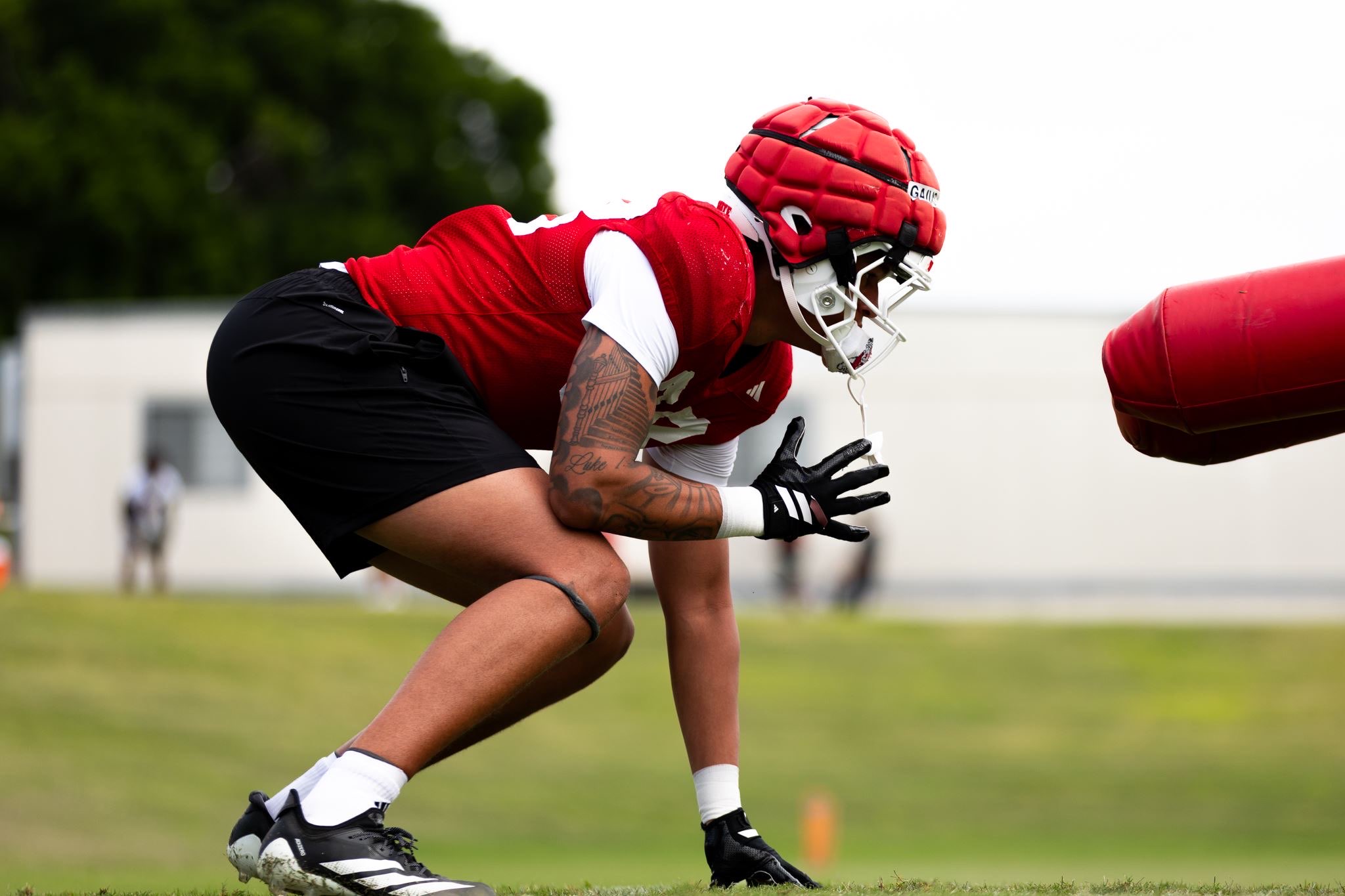 Dallas Gaius athlete profile head shot